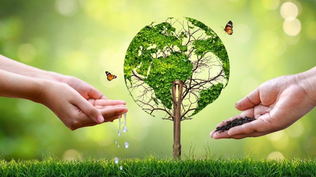 If You Could Preserve One Thing for Future Generations, What Would It Be?